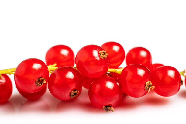 redcurrant