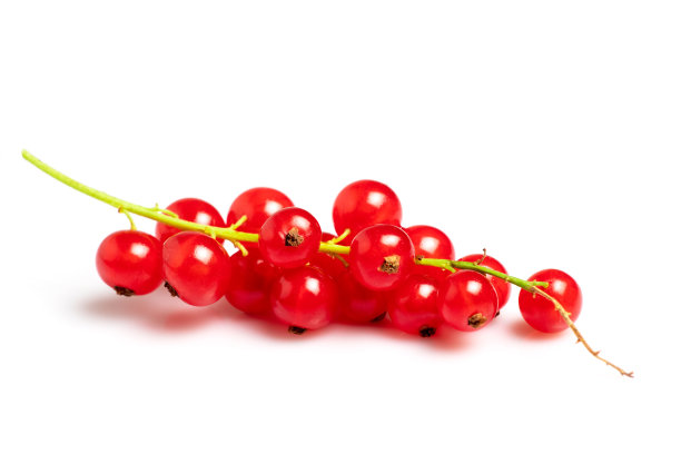 redcurrant