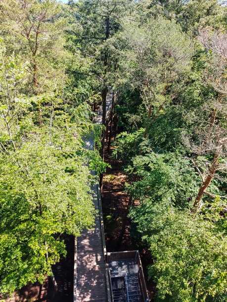 skywalk