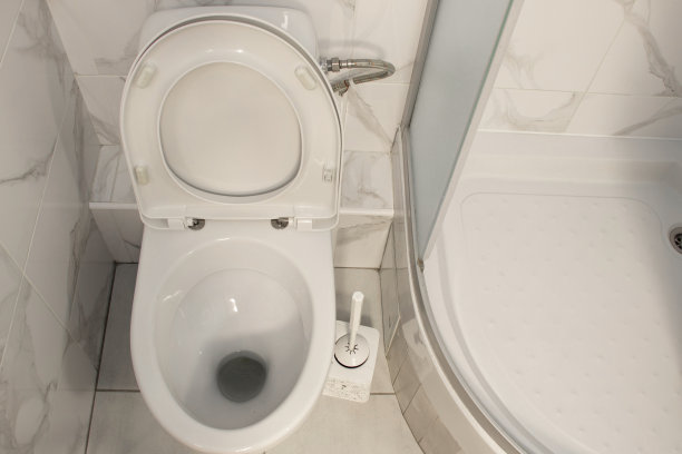 bidet