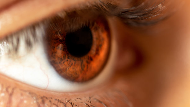 retina