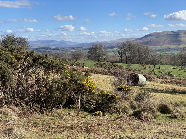 powys