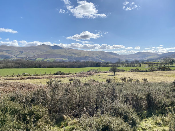 powys