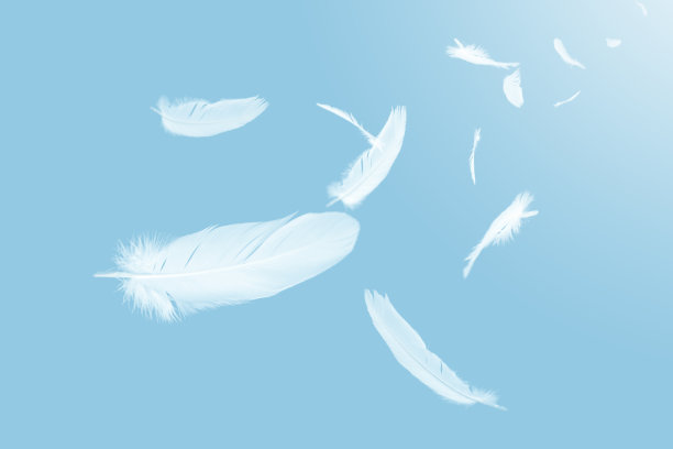 plumage