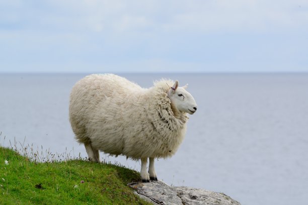 barra