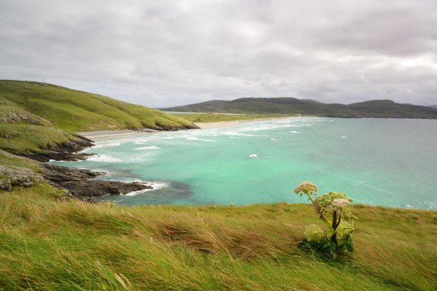 barra