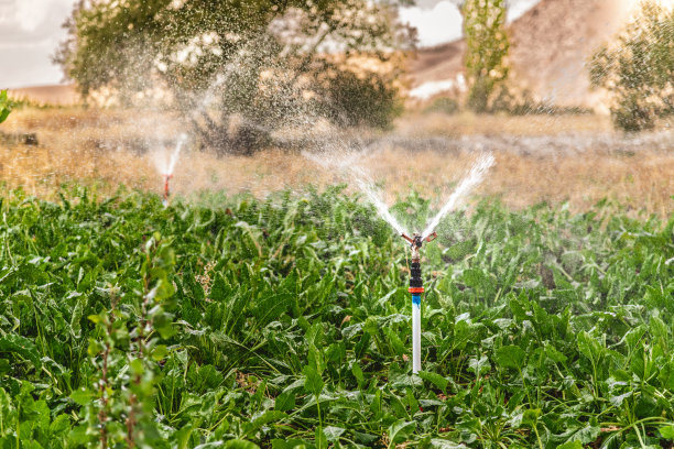 irrigation