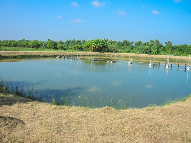 ponds