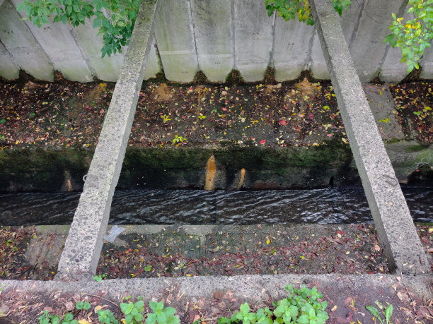 ditch