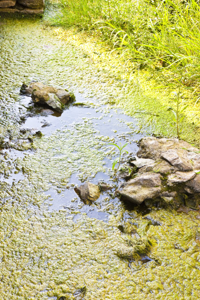 backwater
