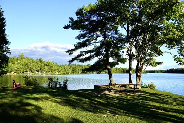 户外蓝天白云草地树林图片
