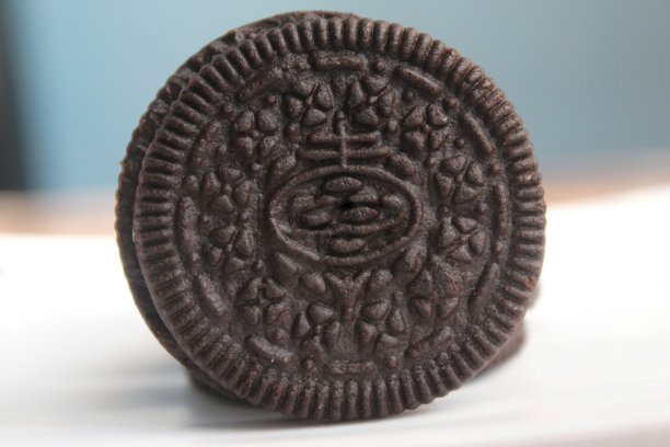 biscuit