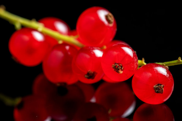 redcurrant