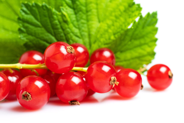 redcurrant