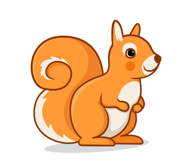 squirrel