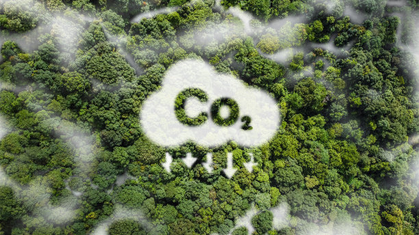 coal