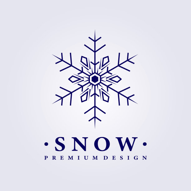 雪花,冰,雪