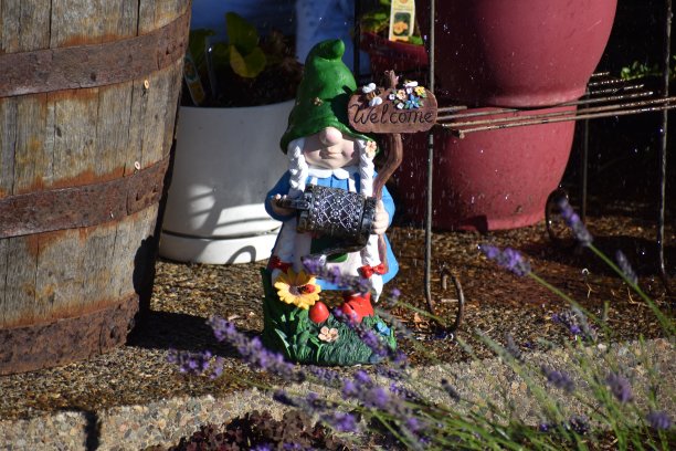 gnome