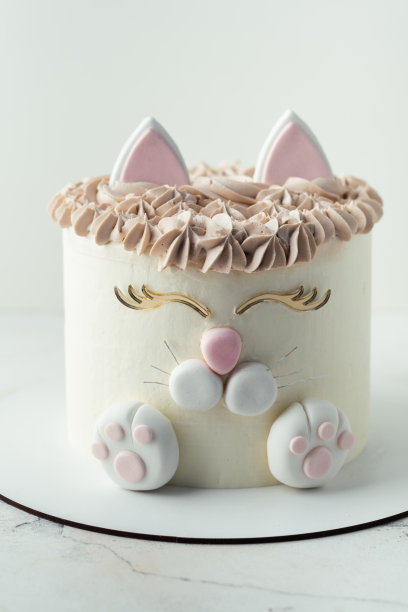 生日小猫派对可爱庆祝蛋糕形象