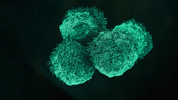 cd4