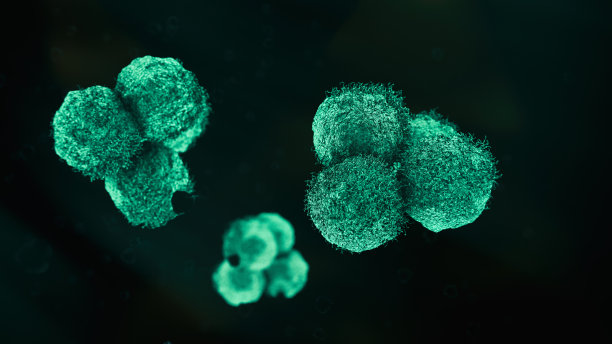 cd4