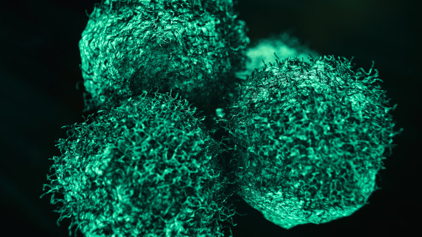 cd4