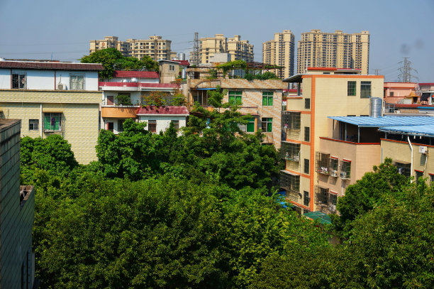 foshan