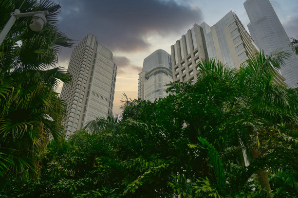 foshan