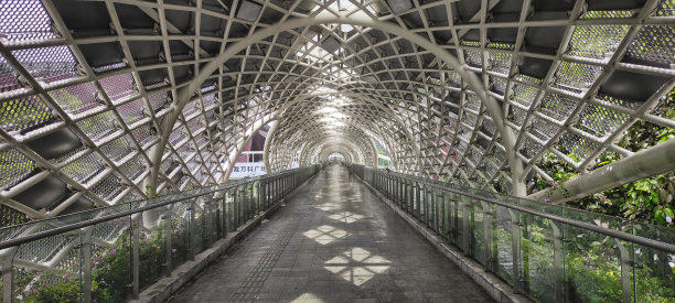 foshan
