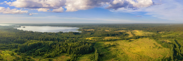 户外蓝天白云草地树林图片