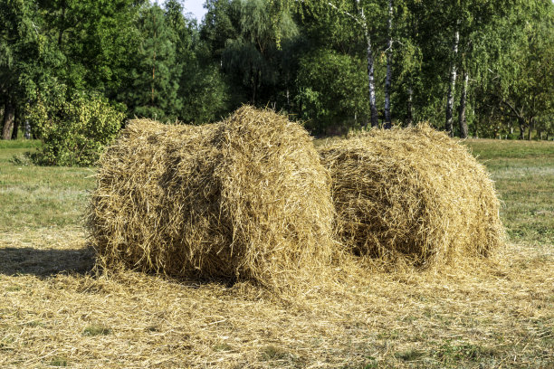 bale