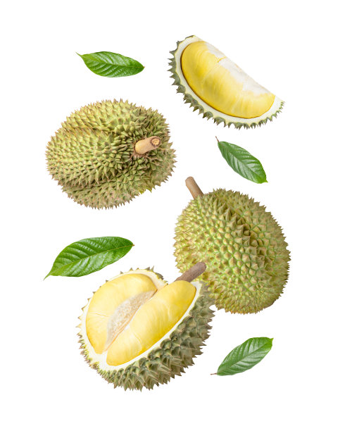 durian
