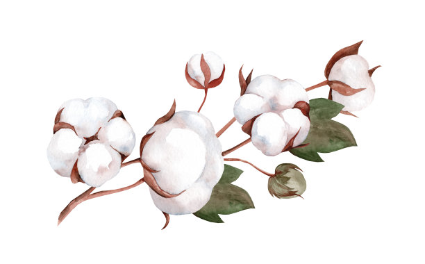 cotton