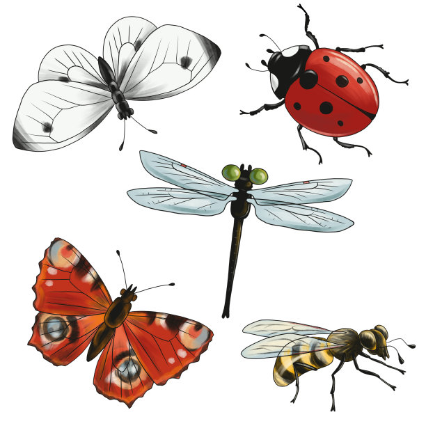 entomology