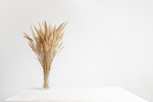 pampas
