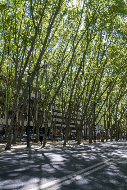 avenue