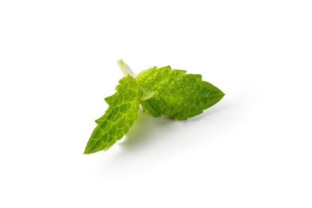 spearmint