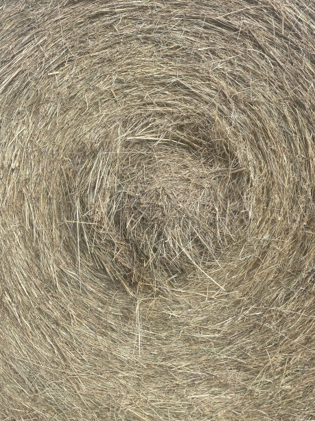 bale
