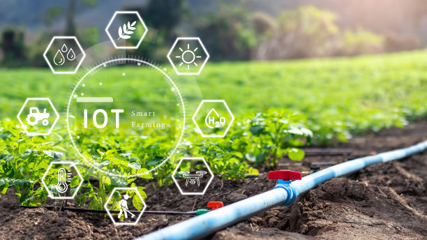irrigation