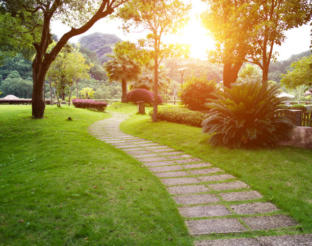 pathway