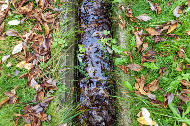 ditch