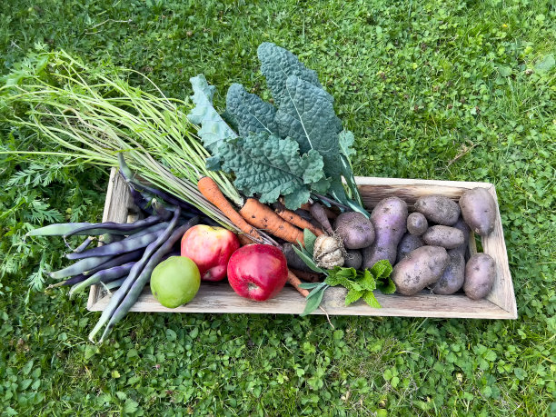 abundance