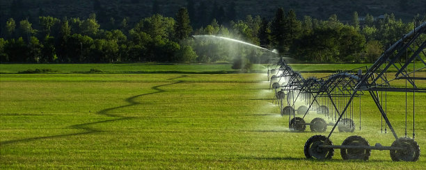 irrigation