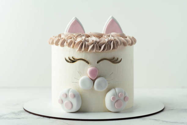 生日小猫派对可爱庆祝蛋糕形象