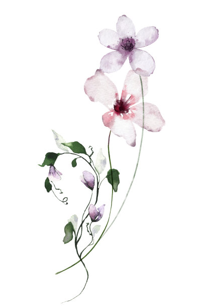 wildflowers