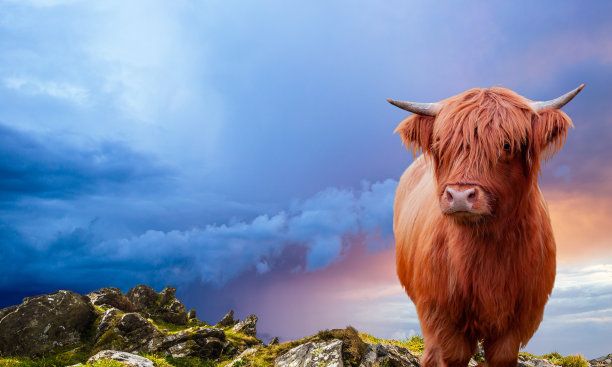 scotland