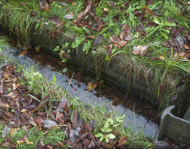 ditch