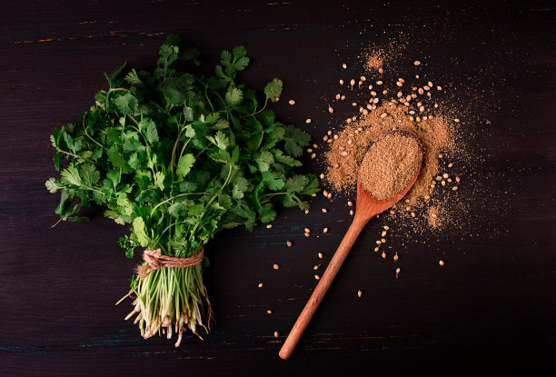 cilantro