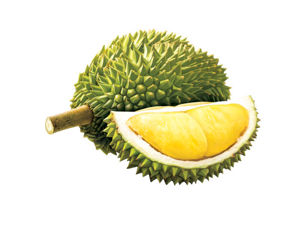 榴莲