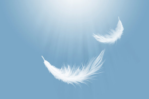 plumage